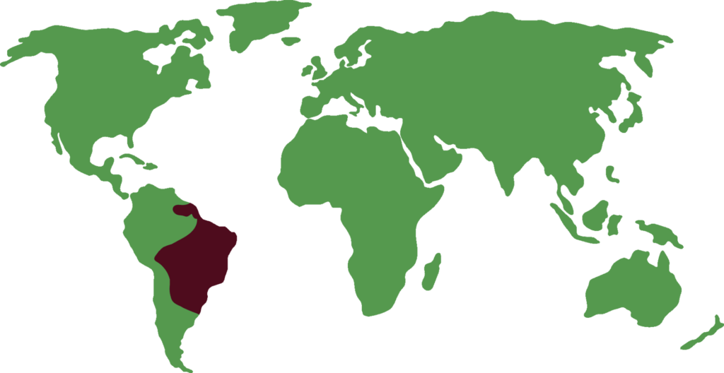 Six-banded armadillo distribution