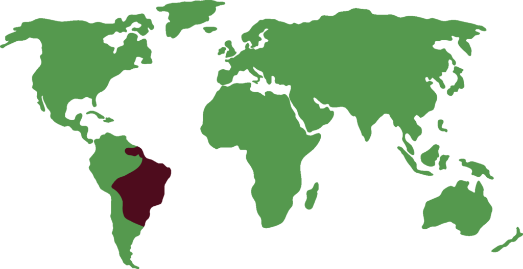 Distribución de Armadillo de seis bandas