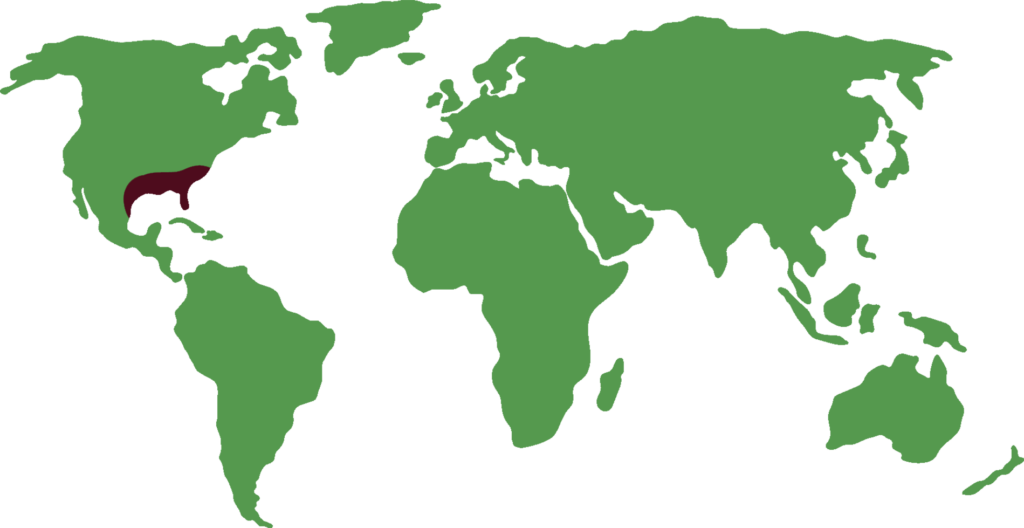 Distribución del caimán del Misisipi