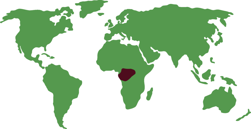 distribución del cercopiteco de Brazza