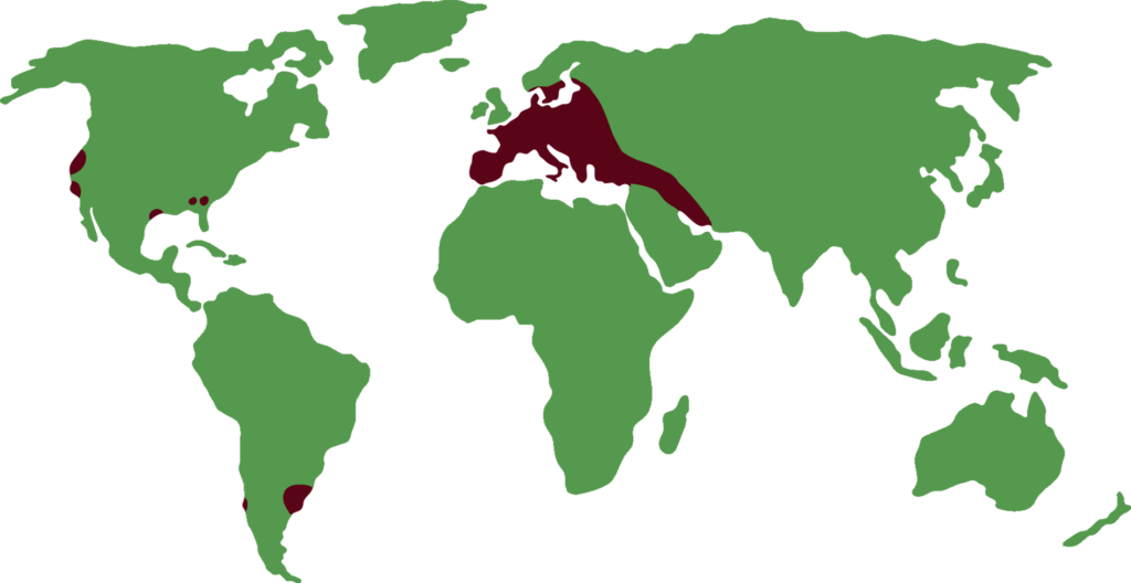 distribución de gamo europeo
