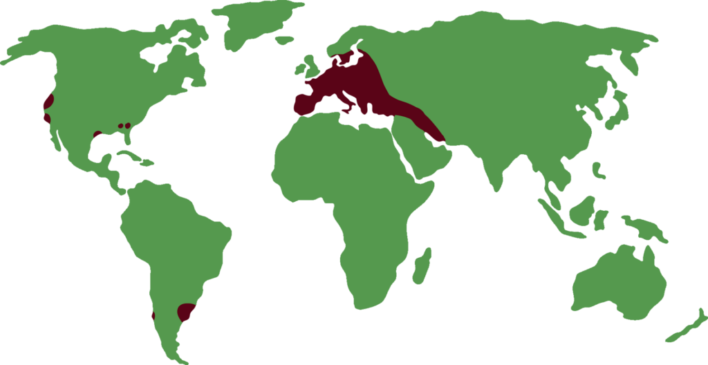 european fallow deer distribution