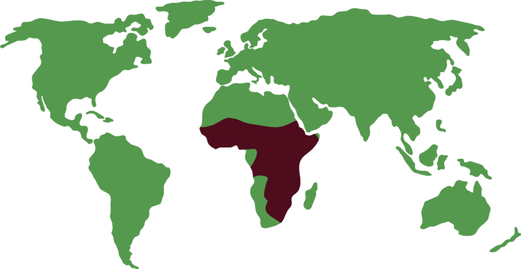 Distribución del Marabú africano