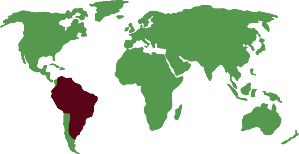 distribución de boa constrictora