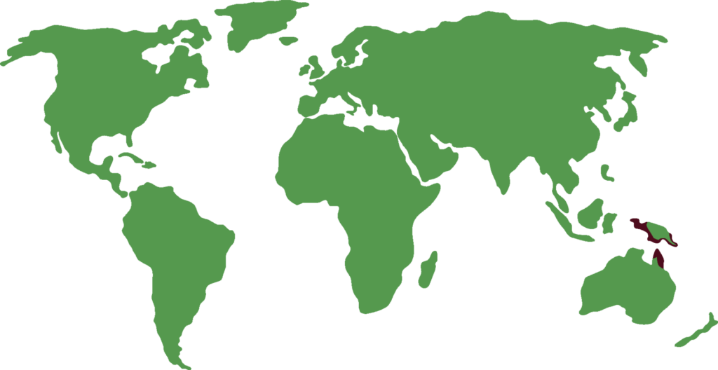 Southern cassowary distribution