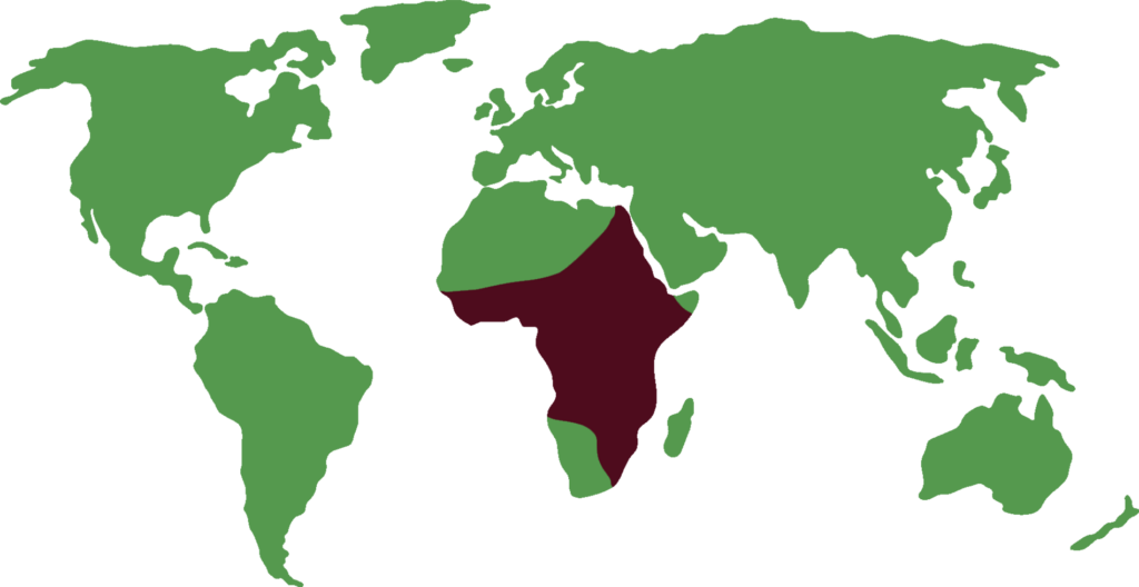 distribución del cocodrilo del nilo