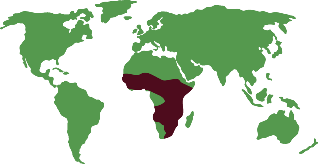 distribución de servales