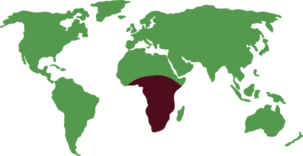 Distribución de la tortuga de espolones africana