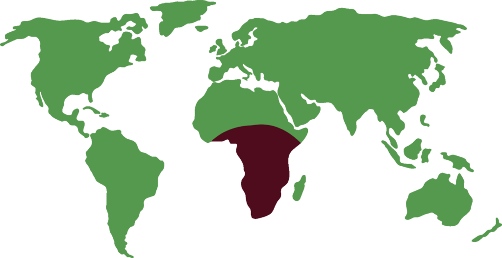 African spurred tortoise distribution