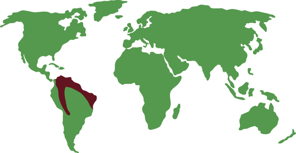 distribución de tortuga de patas rojas